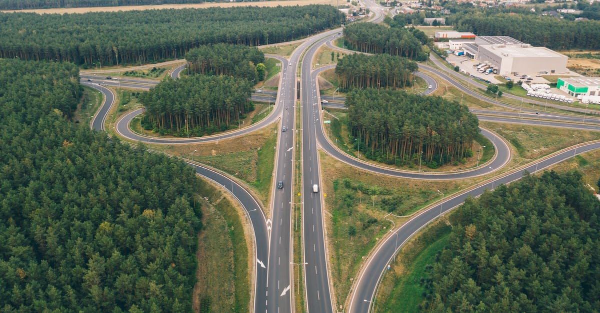 Can I drive in Europe after passing test on provisional license - Green Leafed Trees and Gray Concrete Roads