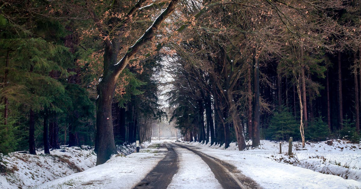 Can I enter the Netherlands with a refugee travel document or do I need a visa? - Photography of Road during Winter Season