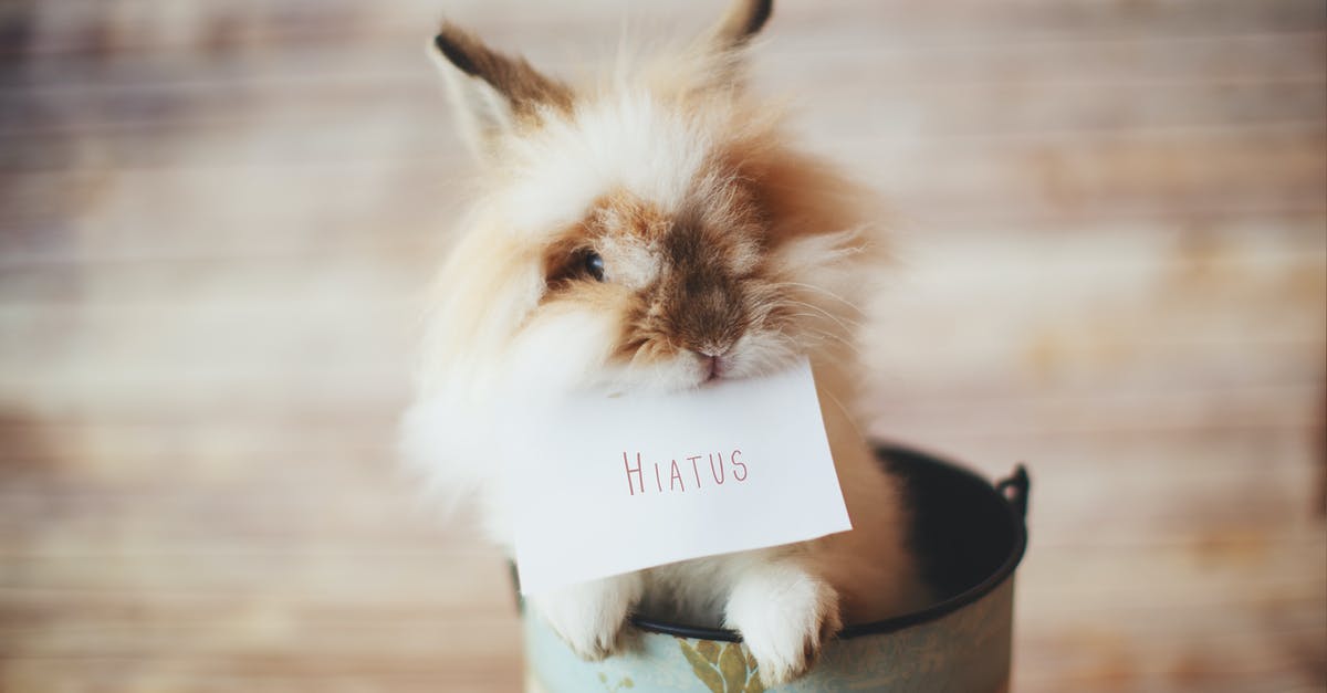 Can I exchange a note of 1000 Swiss Francs in Georgia? - Selective Focus Photo of Guinea Pig Holding Card