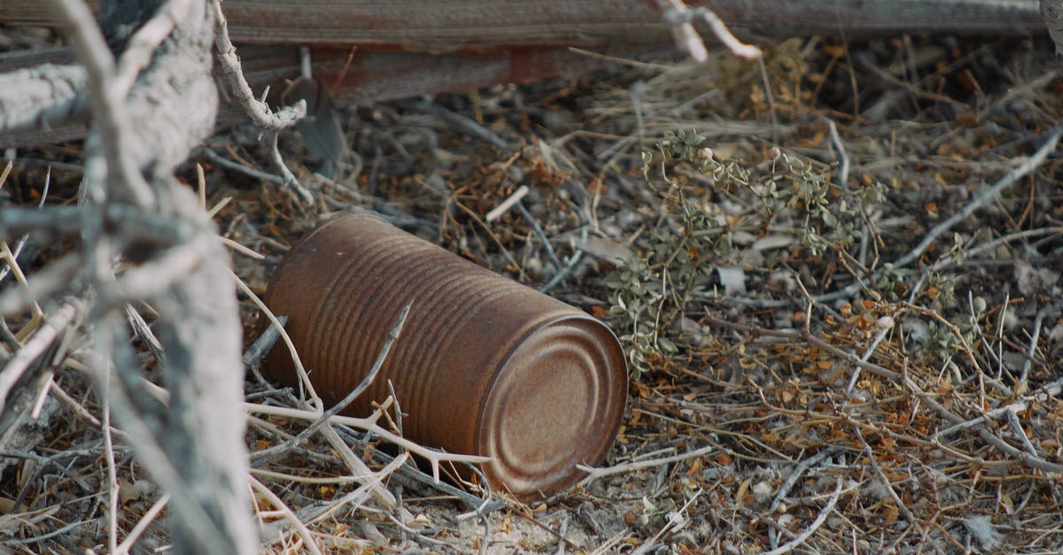 Can I get NEXUS in California? - A Rusty Can on the Dry Grass Ground