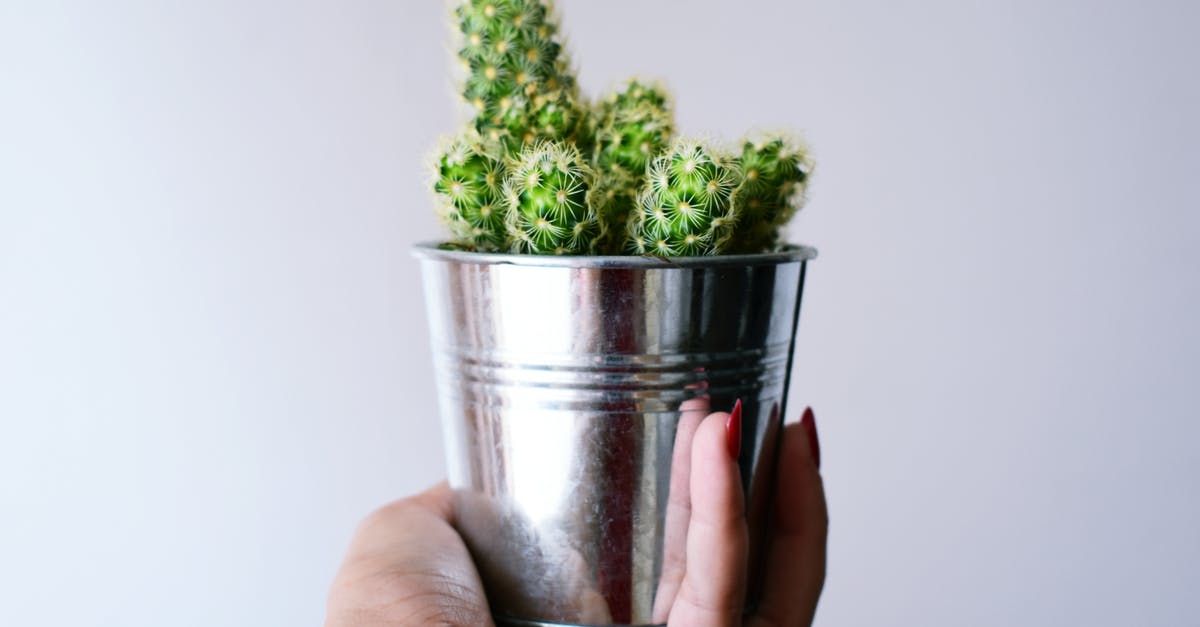 Can I hand over a Bahn 100 card? - Person Holding Can With Cactus Plant