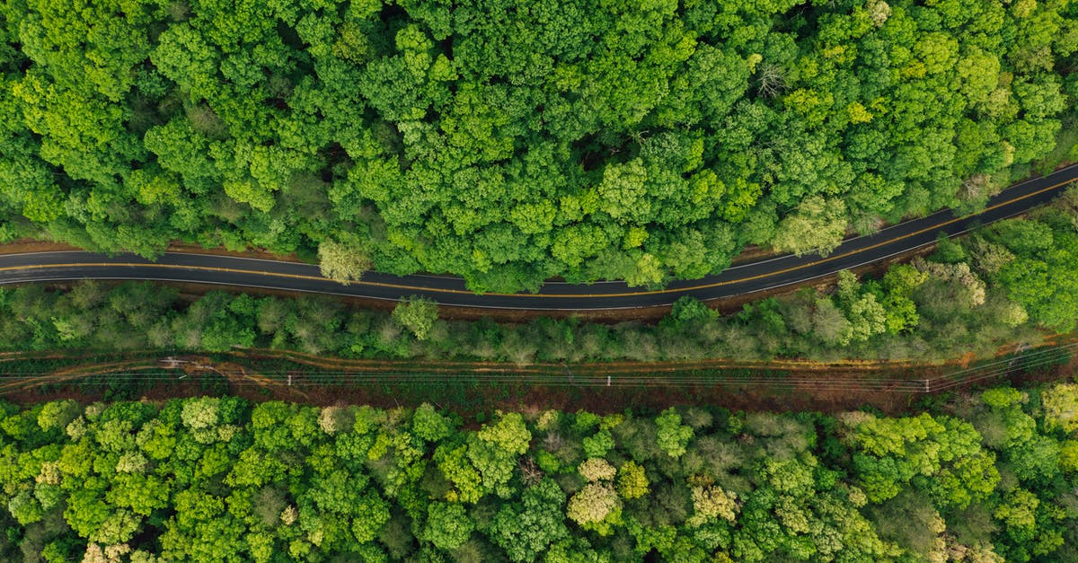 Can I legally drive through the backstreets in Seattle? - Narrow asphalt roadway amidst lush forest