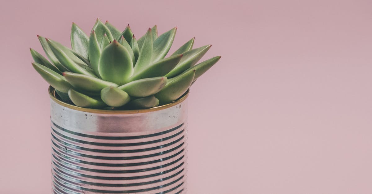 Can I marry Non-Eu in The UK as Eu Citizen? [closed] - Photo of a Succulent Plant 