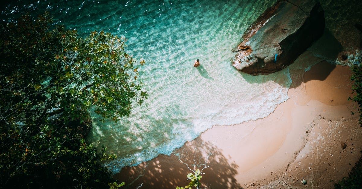 Can I purchase Seychelles island currecy in Malaysia? - Top View Of A Lone Person on Seashore