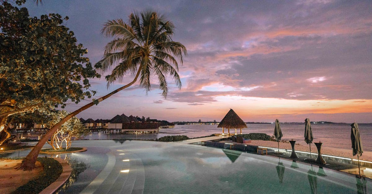 Can I purchase Seychelles island currecy in Malaysia? - Palm Trees Near Body of Water during Sunset