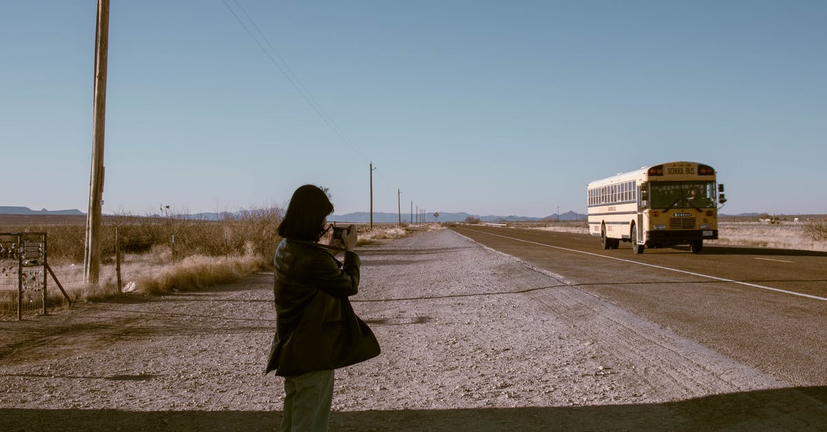 Can I take a scheduled bus on an ice road? - Photo of a Woman Taking a Photo of a School Bus