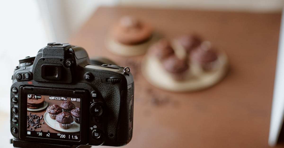 Can I take chocolate to Australia? - Screen of photo camera with photo of chocolate cupcakes