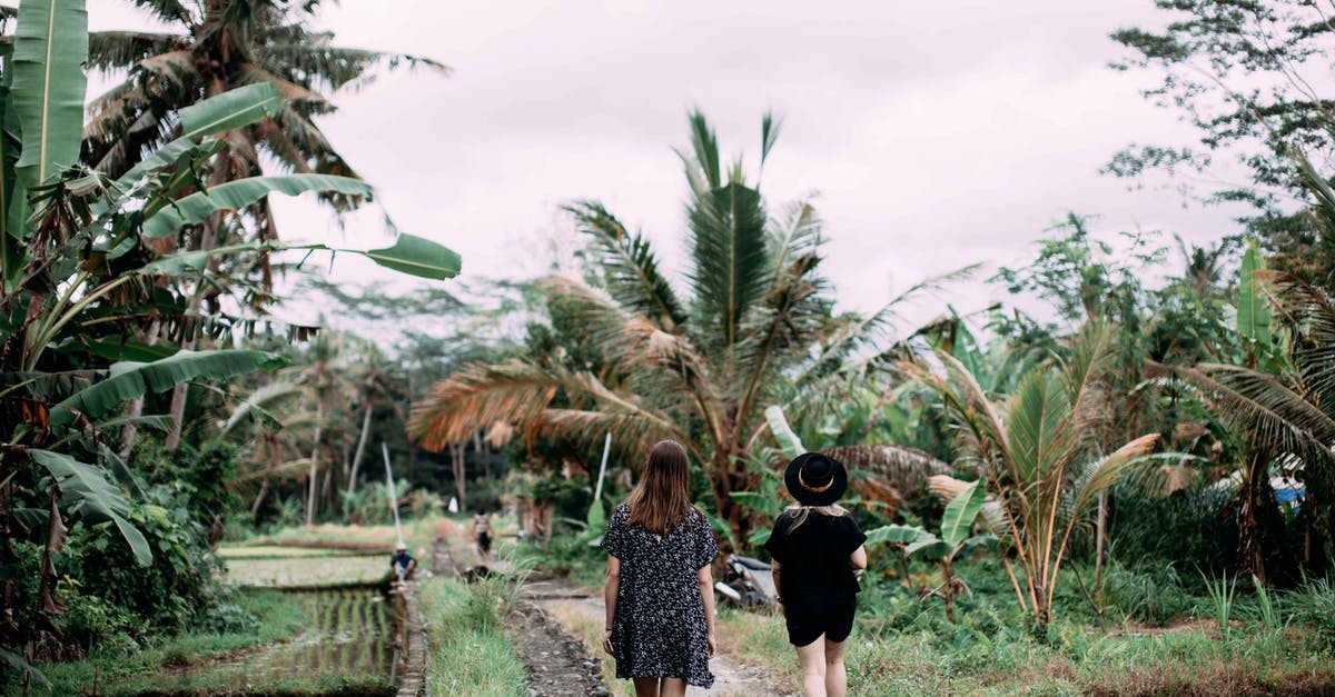 Can I travel between two countries on a "domestic" flight? [closed] - Woman in Black Shirt and White and Black Floral Skirt Walking on Pathway Between Green Grass