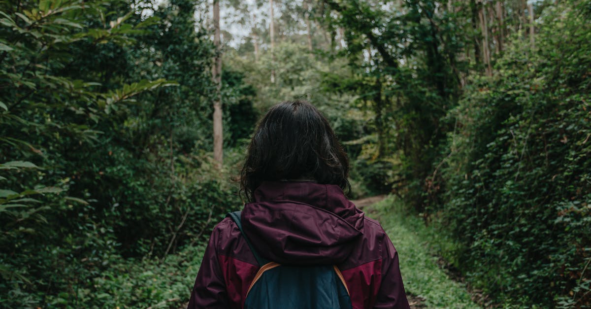 Can I travel multiple one-way back-and-forth flights to the same destinations on one day? - Back view of unrecognizable traveler in warm coat with backpack walking on footpath surrounded by tall green trees and bushes in woodland