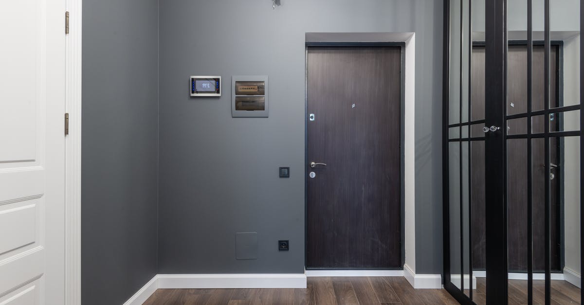 Can I use a Global Entry Kiosk on a new passport? - Spacious corridor of modern apartment with mirrored wardrobe