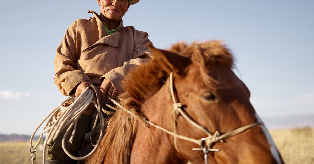 Can I visit all the countries in the Schengen area with a national visa? - Low angle of senior Asian horseman wearing national cloth riding brown horse on blurred background of prairie with dried yellow grass and remote mountains under clear blue sky while looking at camera with smile