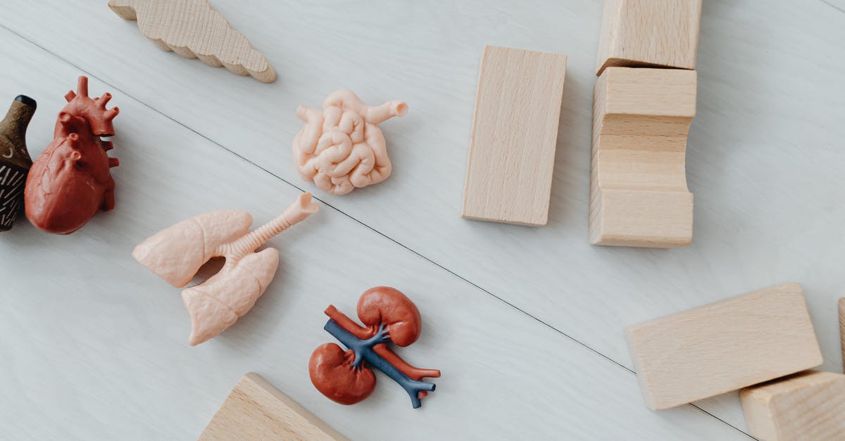 Can one take wooden toys to Australia? - Brown Wooden Rolling Pin and White Rope