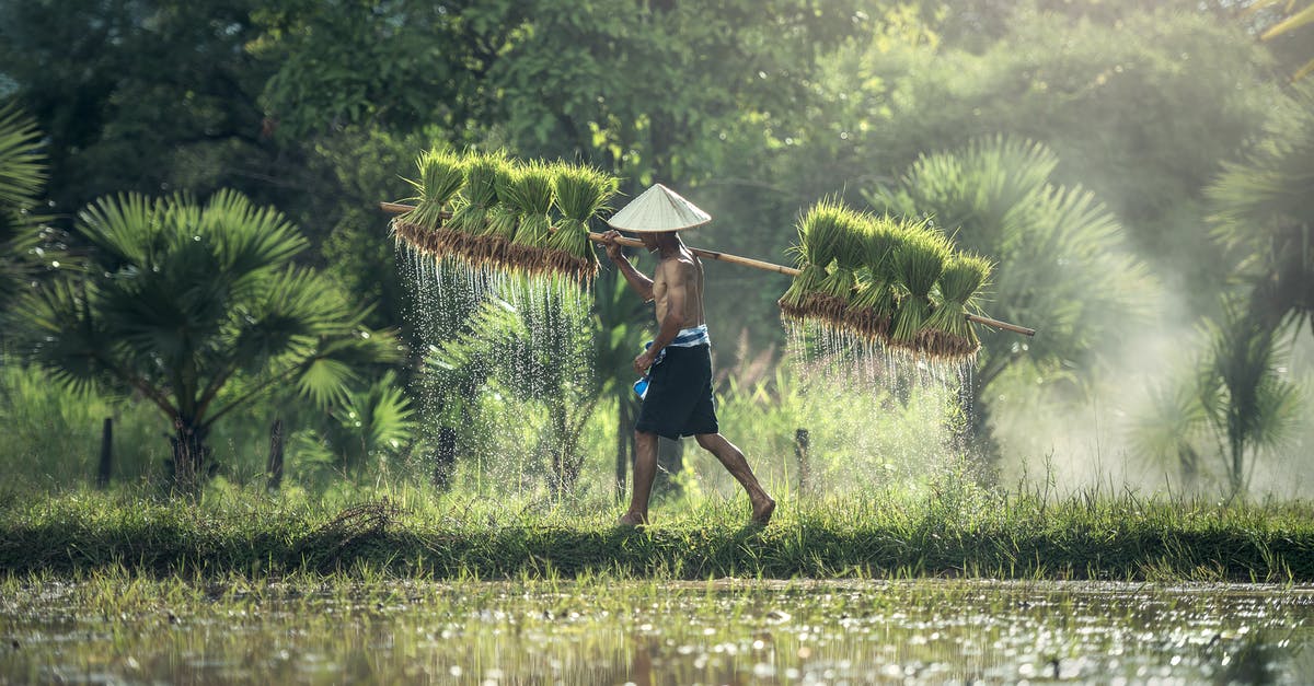 Can we carry rice to Japan? - Full Length of Man on Water