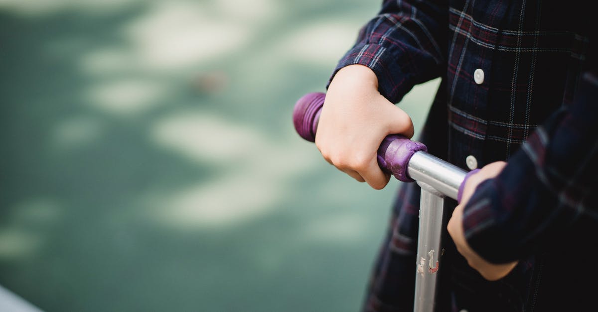 Can you bring your scooter on TER trains? - Person in Black and Red Plaid Long Sleeve Shirt Holding Gray Metal Bar