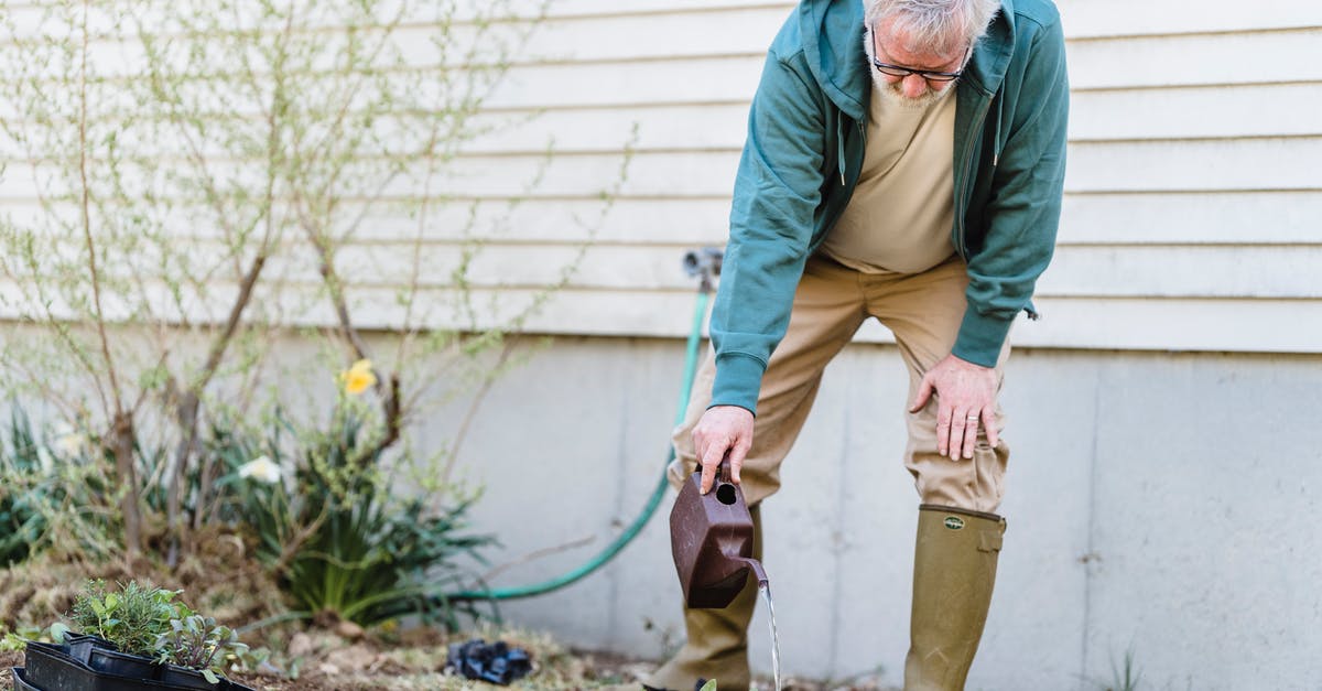 Can you mail yourself to another country? Any country? - Senior male farmer in gumboots standing with can and watering green sprouts against wall