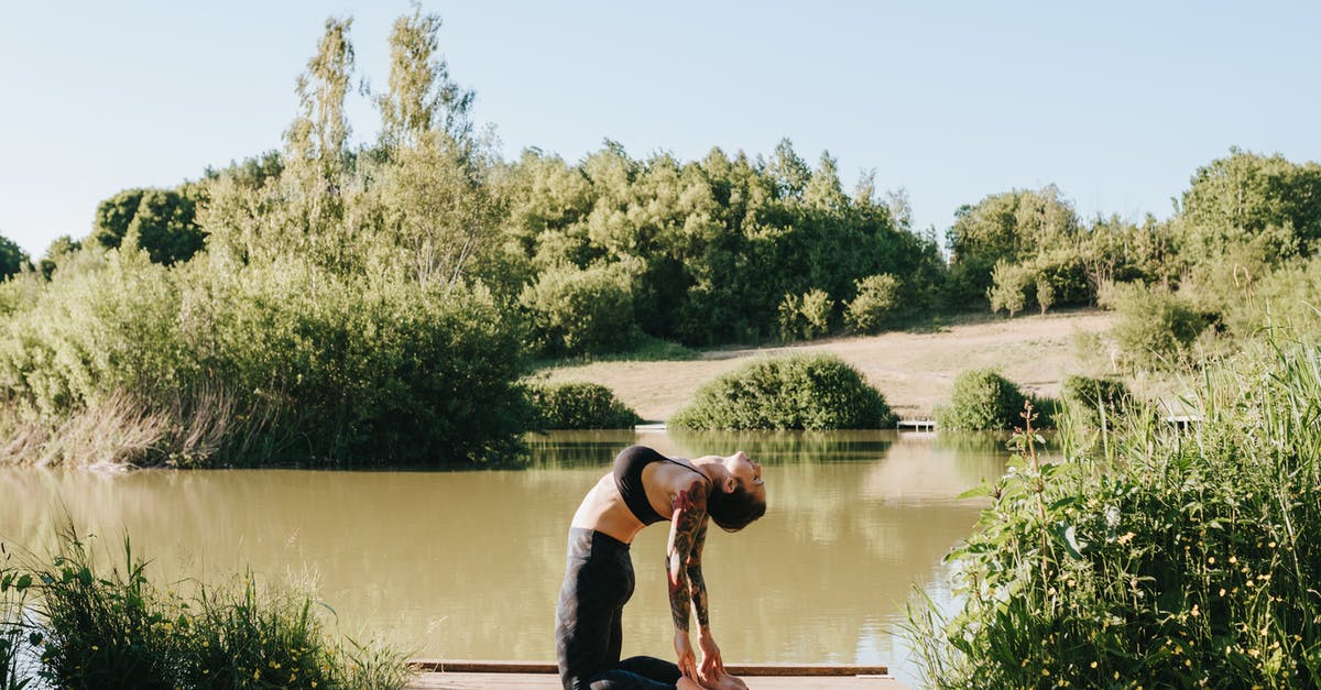 Can you stretch a Coast Starlight ticket over multiple days? - Side view of young barefoot tattooed lady showing Ustrasana pose while practicing yoga on pier near river and bushes