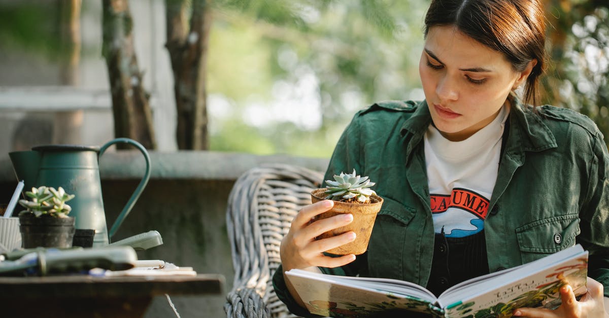 Can you study in Australia with an eVisitor visa? - Attentive young female grower with succulent plant in pot reading textbook while sitting in wicker armchair in garden