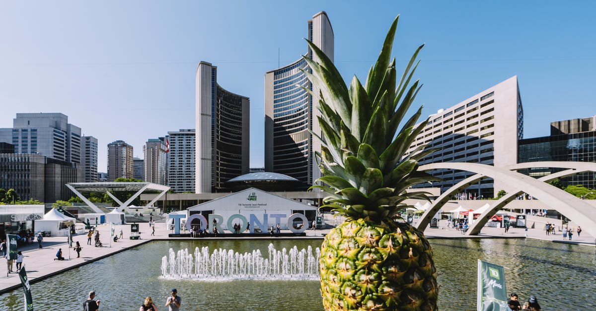 Canada to USA customs preclearance and fruits/vegetables - Pineapple on Gray Concrete Surface