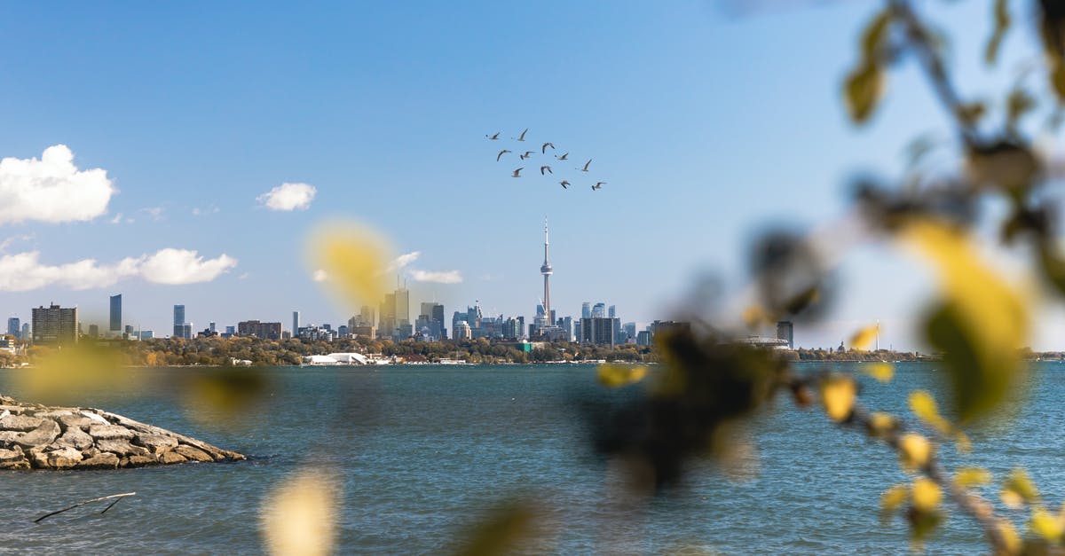 Canada Transit Visa - Birds Flying Over the Lake