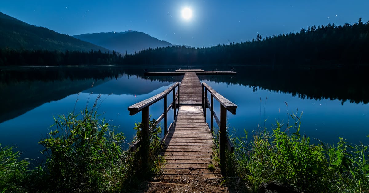 Canada visa refusal, insufficient travel history - Brown Wooden Dock