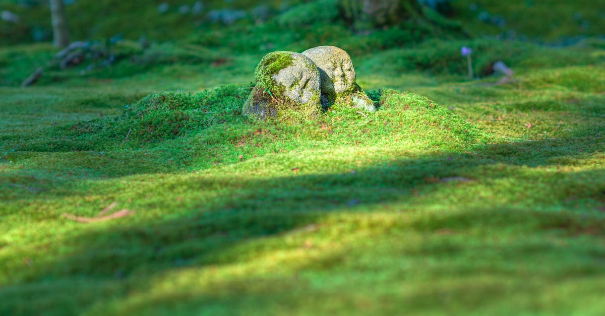 Canadian permanent resident visiting Japan - Gray Rock Formation on Grass Field