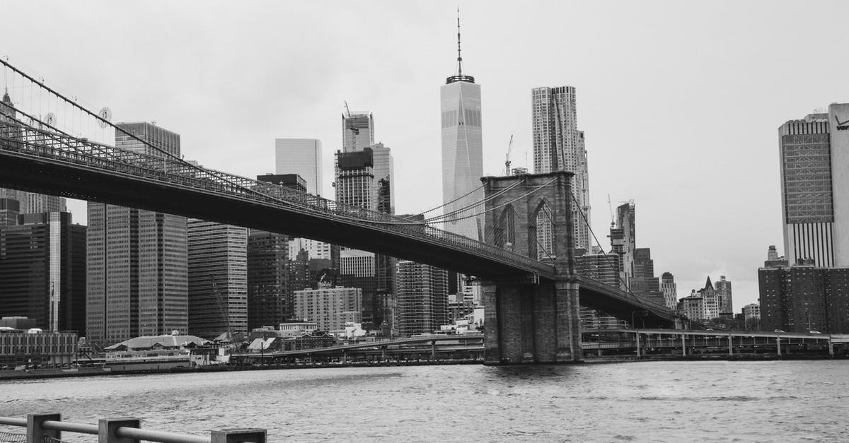 Canadian wants to go to US for meetings - Grayscale Photo of City Skyline