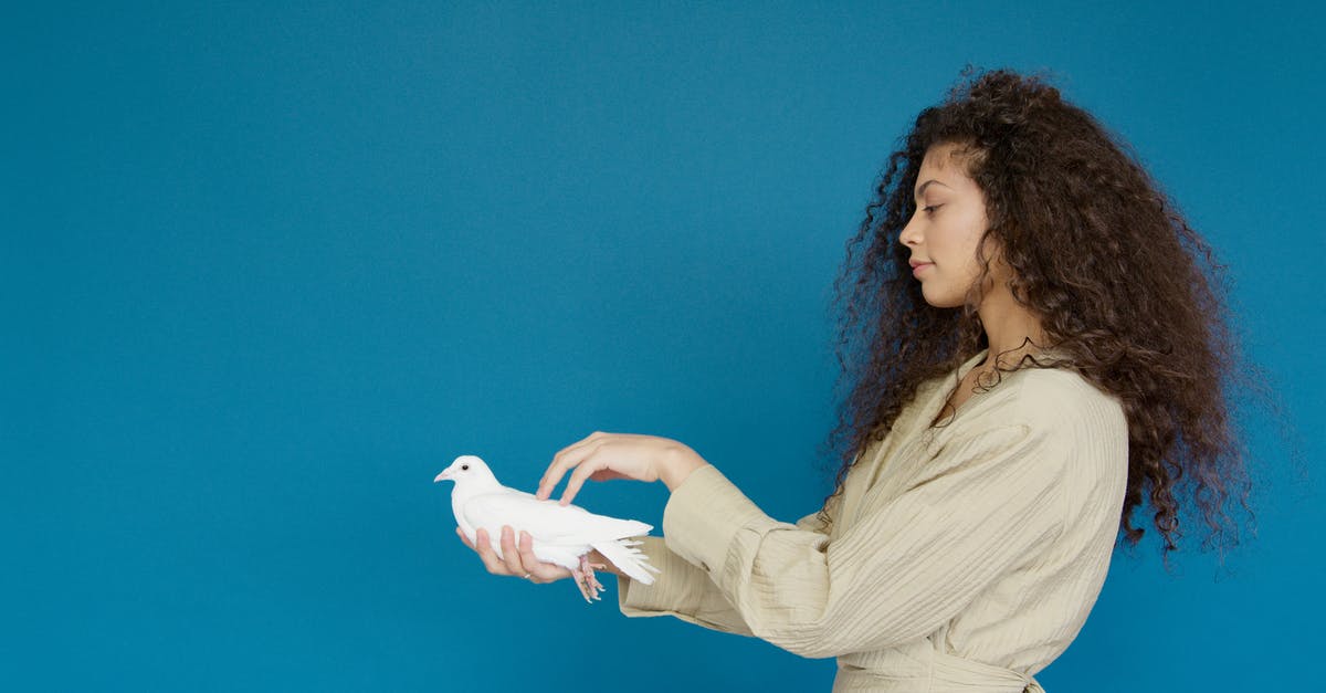 Cancel airline reservation on hold - Woman in White Long Sleeve Shirt Holding White Bird