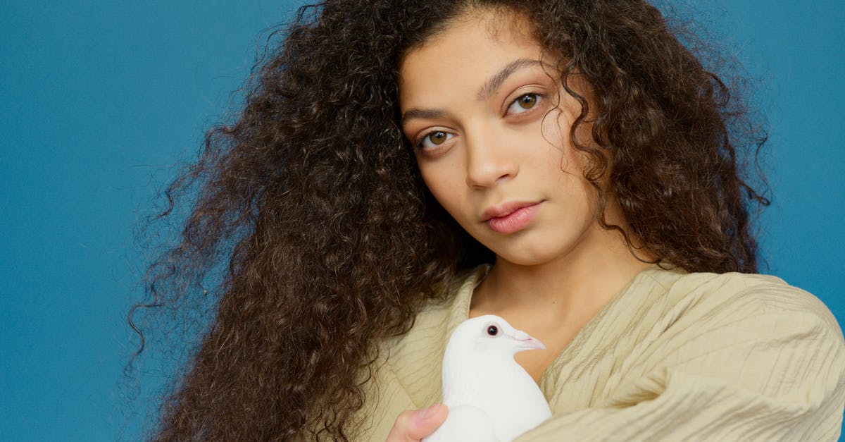 Cancel airline reservation on hold - Woman With White Bird on Her Head