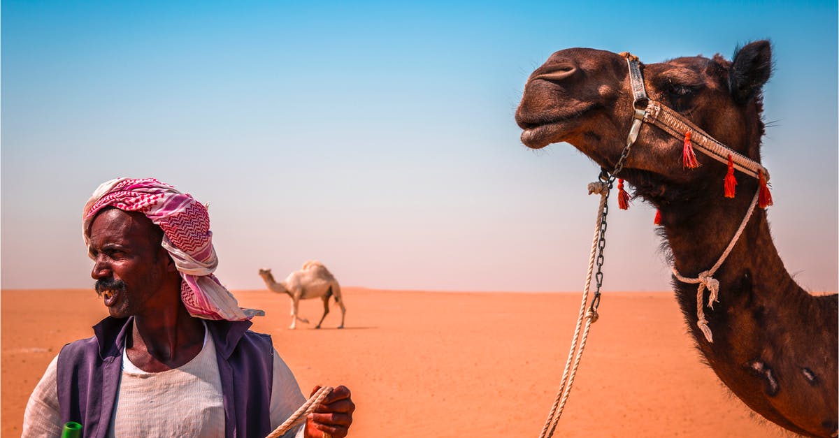 cancellation visa for kuwait - Standing Man Beside Camel on Desert