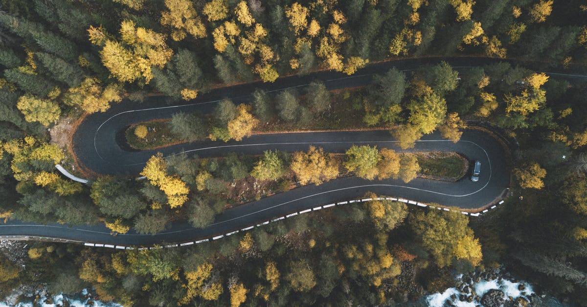 Car shipping Do's and Dont's - Top View Photo of Curved Road Surrounded by Trees