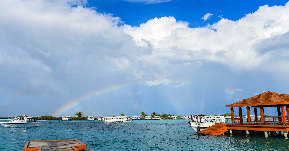 Caribbean cruise for the backpacker? - Brown Wooden Dock Near Body of Water