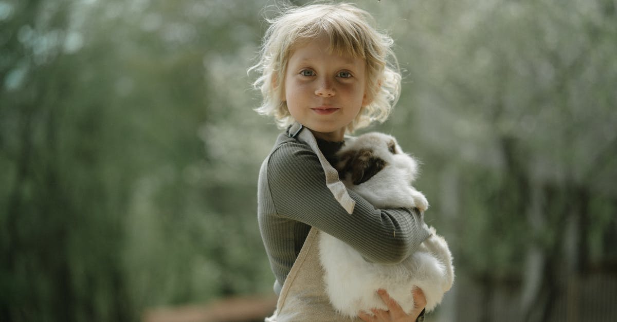 Carrying a rabbit from France to Austria - Child Carrying a Rabbit