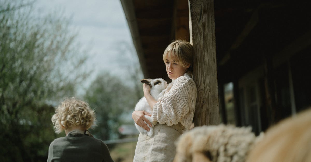 Carrying a rabbit from France to Austria - A Woman Carrying a Rabbit