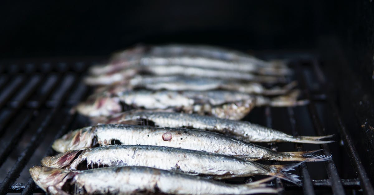 Carrying frozen raw meat in checked in baggage - Photo of Raw Fish on Grill