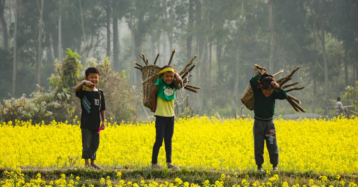 Carrying mustard oil in checked luggage into Germany - Three Boy's Standing Holding Branches