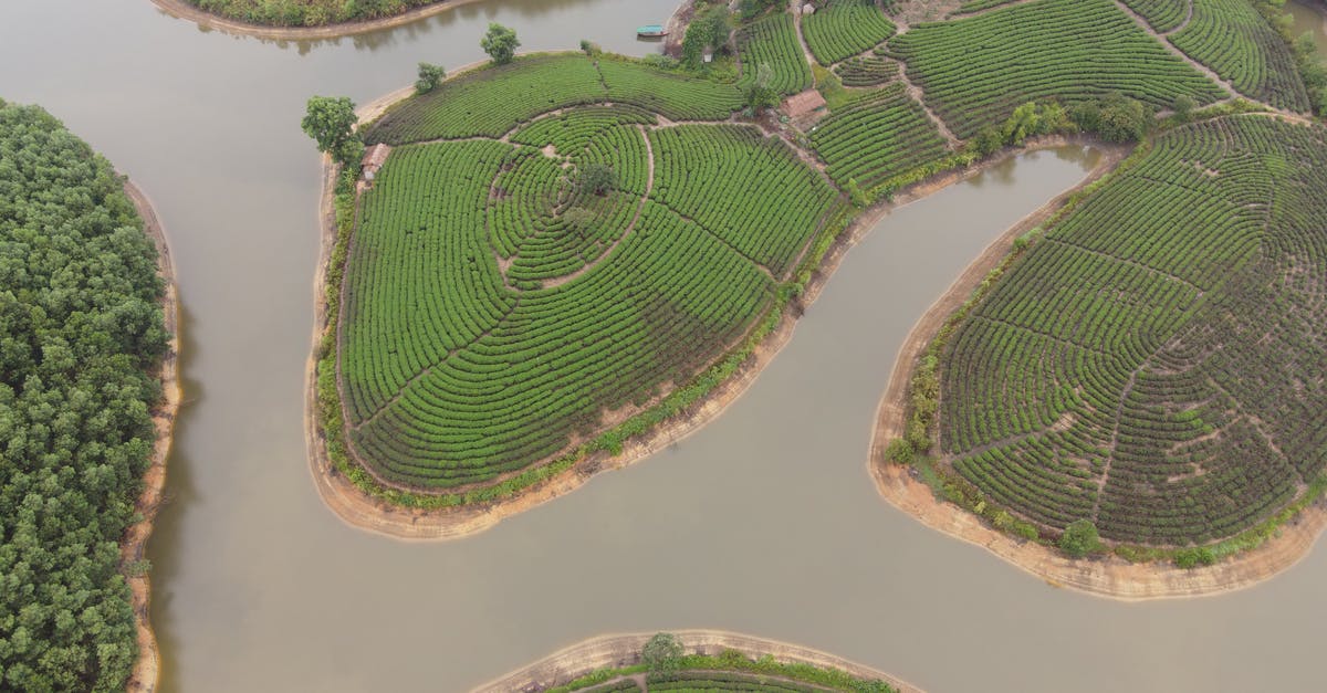 Carrying tea tree oil while traveling from London to India - Curvy river flowing through green tea hills in Vietnam