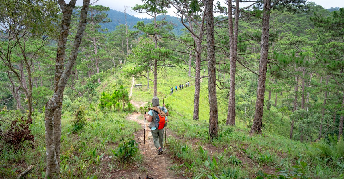 Catch a one-way ticket to Korea - Tourist with dog traveling on mountains