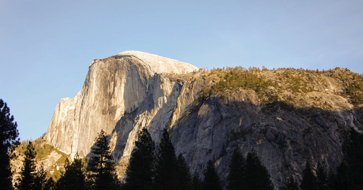 Catching snow in Southern California - Trees Under White Cliff