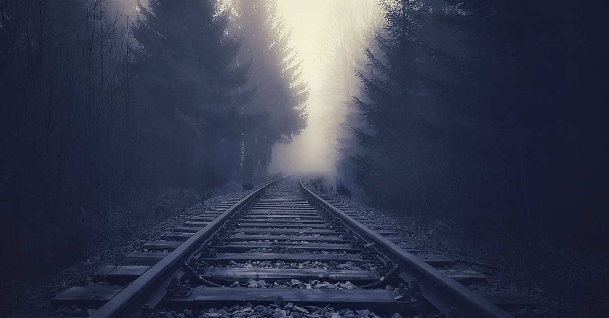 CDG to Bordeaux train options - Train Tracks in Forest in Fog