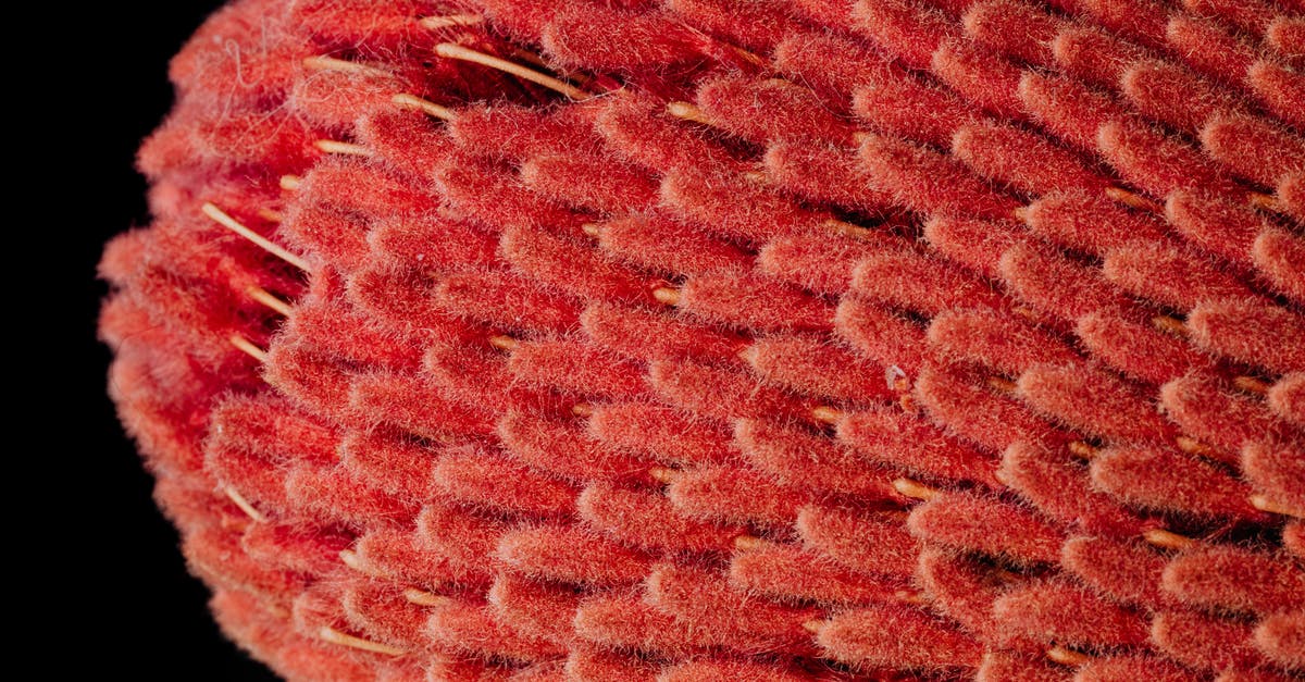 Change of passport details with ref to Australia Visa - From above of top part of exotic tropical banksia flower with unusual narrow fluffy red petals