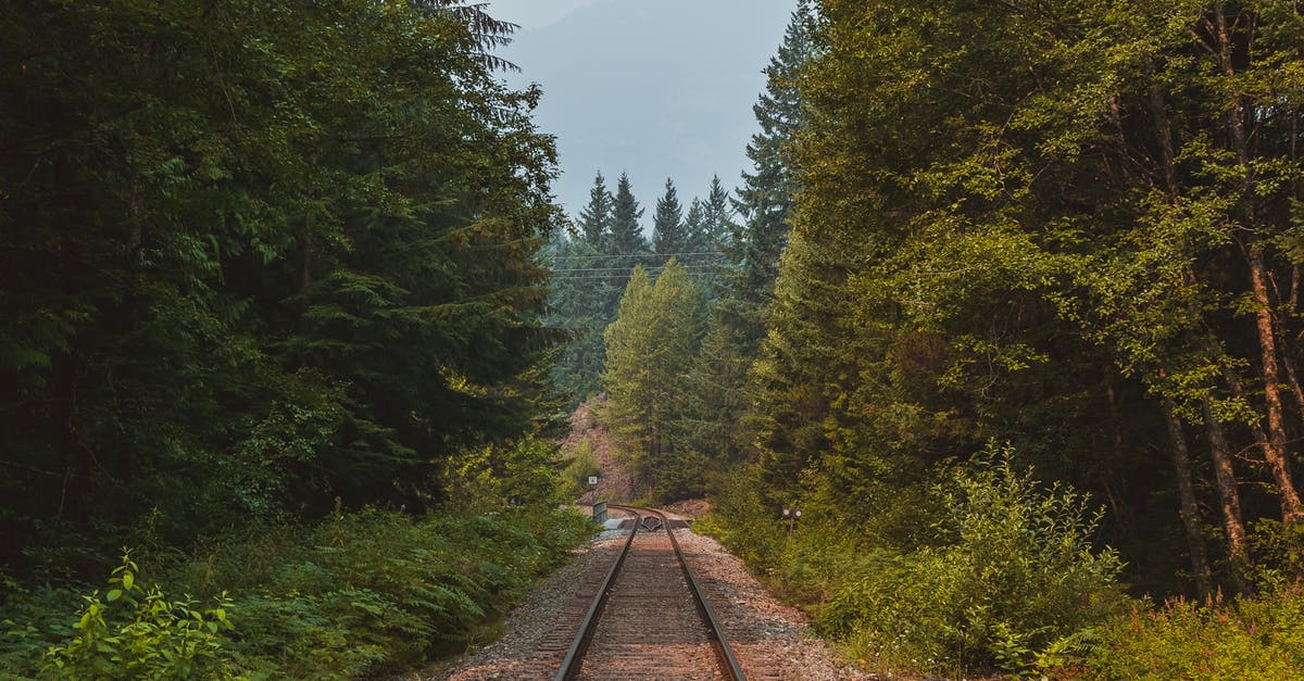 Change of transit country [closed] - Straight rural railway running through abundant evergreen woodland trees on clear summer day