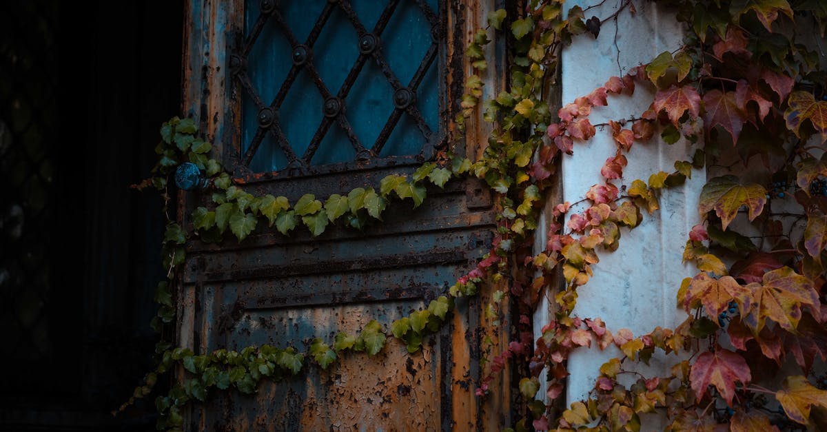 Changing from single entry to multiple entry visa - Low angle of weathered opened rusty door with metal handle of aged house covered with ivy