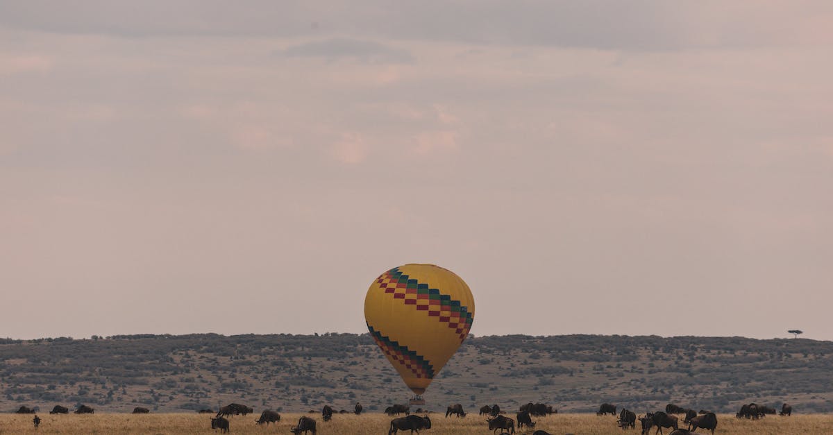 Channel Islands National Park - transport and accommodation - Colorful hot air balloon landing on savanna with herd of wildebeests pasturing in Serengeti national park Tanzania Africa