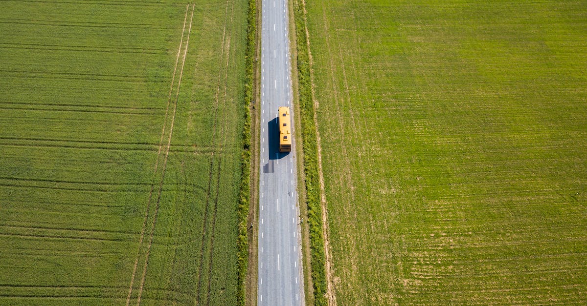 Cheap bus lines in Germany, something like Orangeways? - White Car on Road in Between Green Grass Field