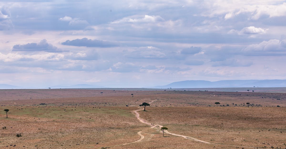 Cheapest way to get from Europe to South Africa [closed] - From above of dry road placed in field with dry grass and rare trees in savanna under cloudy sky in daytime