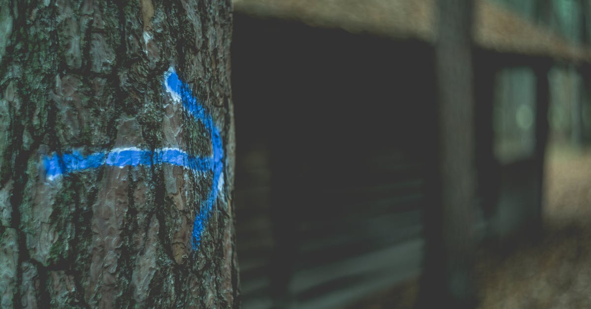 Cheapest way to meet [closed] - Blue Rope on Brown Tree Trunk