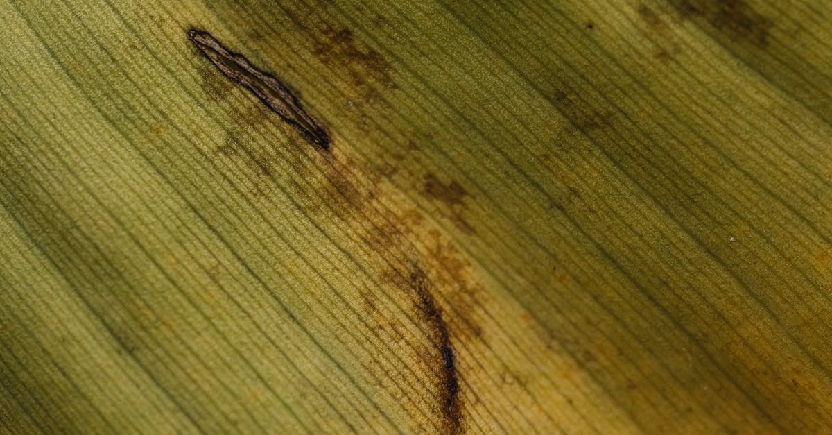 Checked baggage damaged - Brown Rope on Brown Wooden Surface