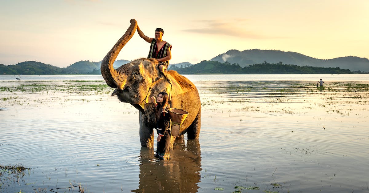 Chiang Mai Trek without Elephant Ride - Woman Standing Beside Man Riding an Elephant 