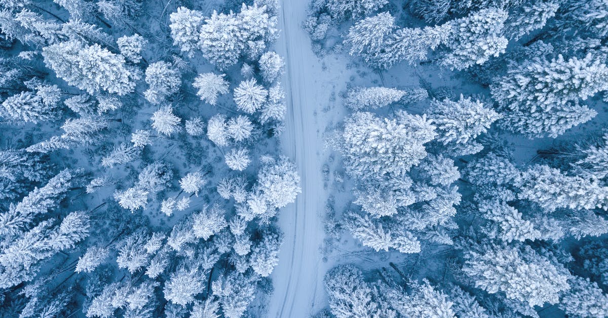 Chicago's summertime weather [closed] - Aerial Photography of Snow Covered Trees