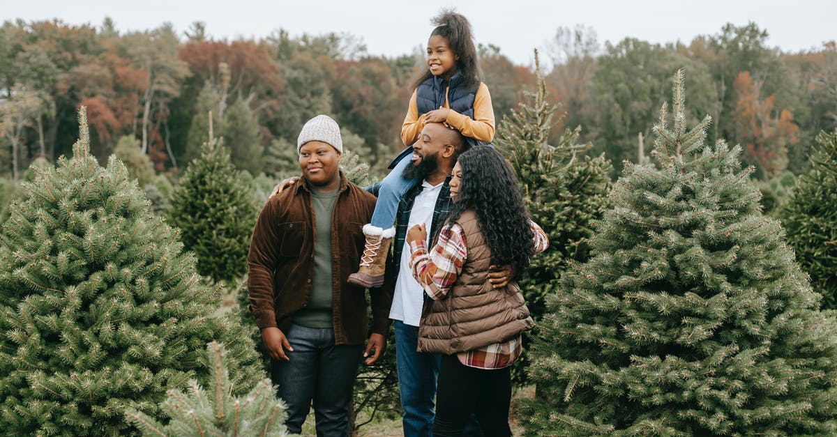 Child travelling with different nationality passport than mom - Positive black family preparing for Christmas on tree farm